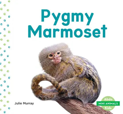 Pygmejové (Pygmy Marmoset) - Pygmy Marmoset
