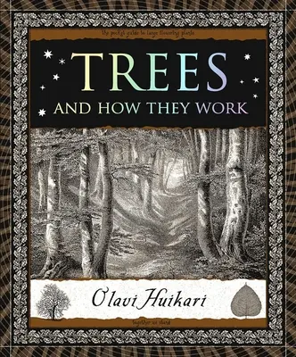 Stromy: A jak fungují - Trees: And How They Work