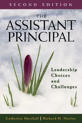 Zástupce ředitele: volby a výzvy v oblasti vedení - The Assistant Principal: Leadership Choices and Challenges