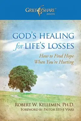 Boží uzdravení pro životní ztráty: Jak najít naději, když se trápíte? - God's Healing for Life's Losses: How to Find Hope When You're Hurting