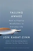 Probuzení - Jak praktikovat bdělost v každodenním životě - Falling Awake - How to Practice Mindfulness in Everyday Life
