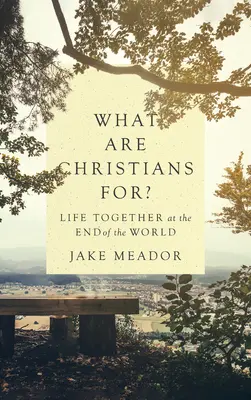 K čemu jsou křesťané?: Společný život na konci světa - What Are Christians For?: Life Together at the End of the World