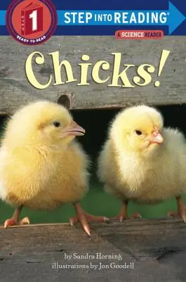 Kuřátka! - Chicks!