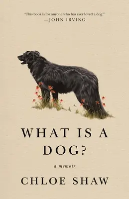Co je to pes? Memoáry - What Is a Dog?: A Memoir