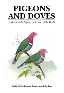 Holubi a holubice - Průvodce holuby a holubicemi světa - Pigeons and Doves - A Guide to the Pigeons and Doves of the World