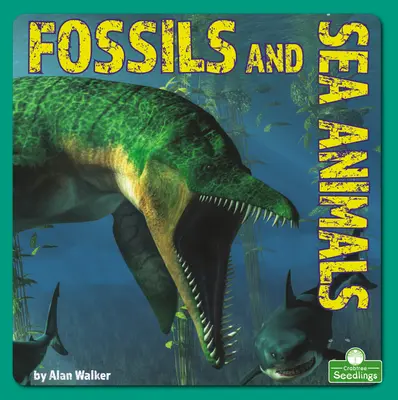 Zkameněliny a mořští živočichové - Fossils and Sea Animals