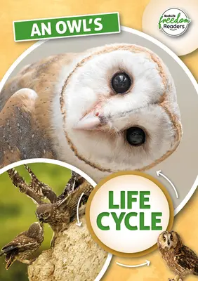 Životní cyklus sovy - Owl's Life Cycle