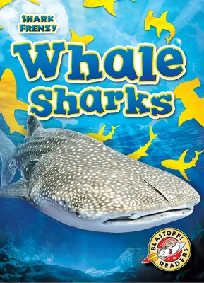 Žraloci velrybí - Whale Sharks