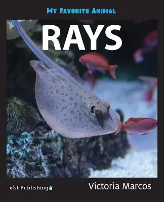 Moje oblíbené zvíře: Rejnoci - My Favorite Animal: Rays