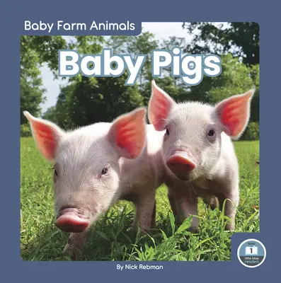 Mláďata prasat - Baby Pigs