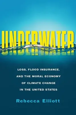 Pod vodou: Ztráty, pojištění proti povodním a morální ekonomie klimatických změn ve Spojených státech - Underwater: Loss, Flood Insurance, and the Moral Economy of Climate Change in the United States