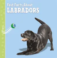 Rychlá fakta o labradorech - Fast Facts About Labradors