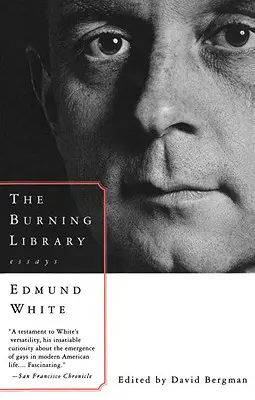 Hořící knihovna: Eseje - The Burning Library: Essays