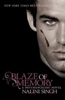 Plamen paměti - kniha 7 - Blaze of Memory - Book 7
