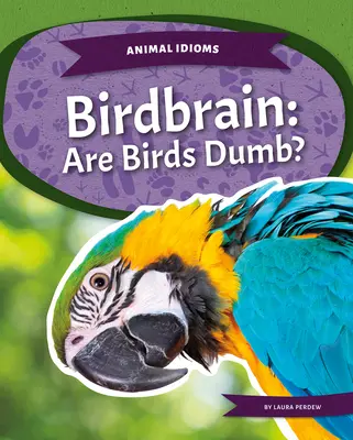 Ptačí mozek: Jsou ptáci hloupí? - Birdbrain: Are Birds Dumb?
