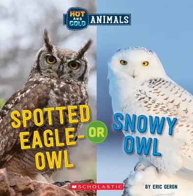Výr skvrnitý nebo sova sněžná (Horká a studená zvířata) - Spotted Eagle-Owl or Snowy Owl (Hot and Cold Animals)