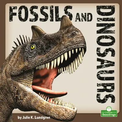 Fosilie a dinosauři - Fossils and Dinosaurs