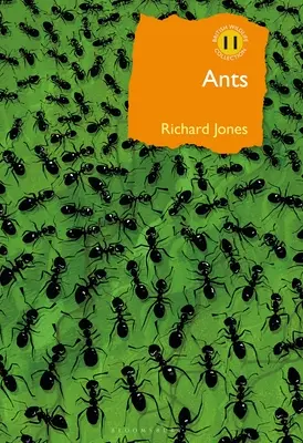 Mravenci: Mravenci: cesta za mravenčením: nejlepší společenský hmyz - Ants: The Ultimate Social Insects