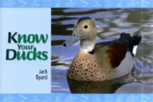 Poznejte své kachny - Know Your Ducks