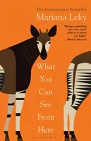 Co odtud vidíte - Fenomén „teplého a zvědavého“ bestselleru - What You Can See From Here - The 'warm and curious' bestselling phenomenon