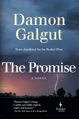 Příslib: román (držitel Bookerovy ceny) - The Promise: A Novel (Booker Prize Winner)