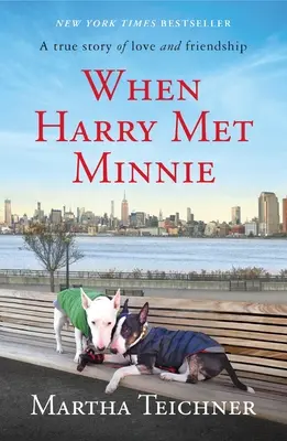 Když Harry potkal Minnie - When Harry Met Minnie