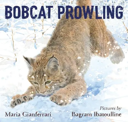 Pronásledování rysů - Bobcat Prowling