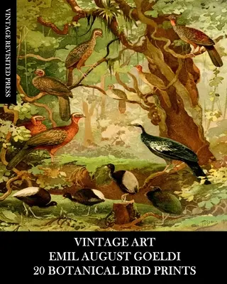 Vintage Art: Emil August Goeldi: 20 botanických tisků ptáků: Vydání: Efeméry pro rámování, domácí dekoraci, koláž a dekupáž - Vintage Art: Emil August Goeldi: 20 Botanical Bird Prints: Ephemera for Framing, Home Decor, Collage and Decoupage