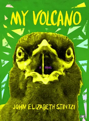 Moje sopka - My Volcano