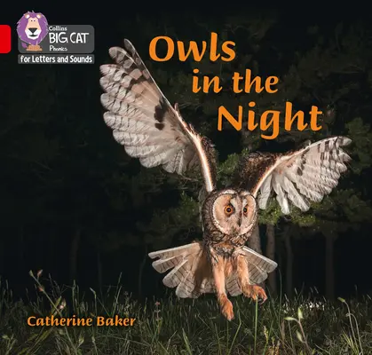 Sovy v noci - pásmo 02b/červená B - Owls in the Night - Band 02b/Red B