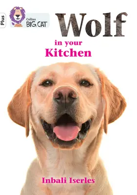 Vlk ve vaší kuchyni - Skupina 10+/Bílá Plus - Wolf in your kitchen - Band 10+/White Plus
