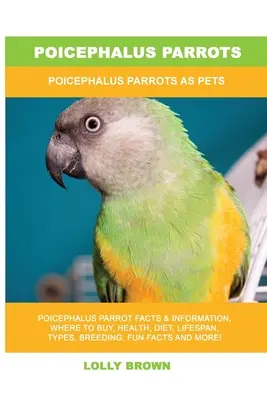 Papoušci rodu Poicephalus: Poicephalus Papoušci jako domácí mazlíčci: průvodce - Poicephalus Parrots: Poicephalus Parrots As Pets