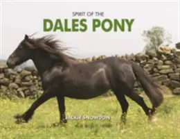 Duch poníků z Dales - Spirit of the Dales Pony