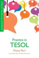 Praxe v TESOL - Practice in TESOL