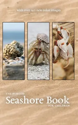 Burgessova kniha o mořském pobřeží s novými barevnými obrázky - The Burgess Seashore Book with new color images