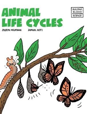 Životní cykly zvířat - Animal Life Cycles