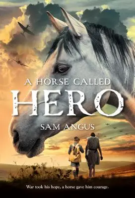 Kůň zvaný hrdina - A Horse Called Hero