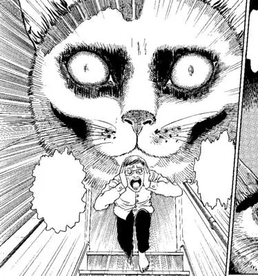 Kočičí deník Junjiho Ito: Sběratelská edice: Yon & Mu - Junji Ito's Cat Diary: Yon & Mu Collector's Edition