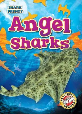 Žraloci andělští - Angel Sharks