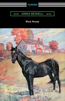 Černá krása - Black Beauty