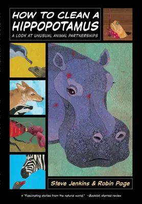 Jak vyčistit hrocha: Pohled na neobvyklá zvířecí partnerství - How to Clean a Hippopotamus: A Look at Unusual Animal Partnerships