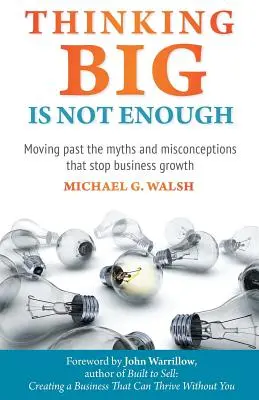 Myslet ve velkém nestačí: Jak překonat mýty a mylné představy, které brání růstu podnikání - Thinking Big Is Not Enough: Moving past the myths and misconceptions that stop business growth