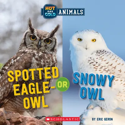 Výr skvrnitý nebo sova sněžná (Horká a studená zvířata) - Spotted Eagle-Owl or Snowy Owl (Hot and Cold Animals)