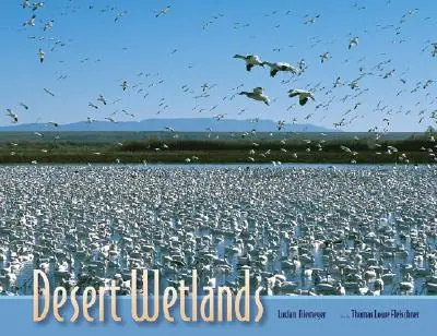 Pouštní mokřady - Desert Wetlands