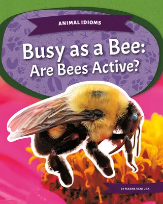 Pilní jako včela: Jsou včely aktivní? - Busy as a Bee: Are Bees Active?