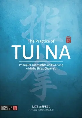 Praxe Tui Na: Tui Na: principy, diagnostika a práce se šlachovými kanály - The Practice of Tui Na: Principles, Diagnostics and Working with the Sinew Channels