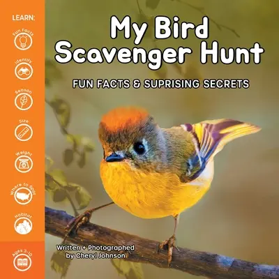 Můj ptačí lov - My Bird Scavenger Hunt