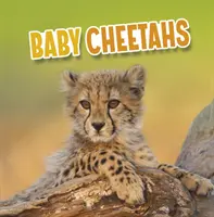 Mláďata gepardů - Baby Cheetahs