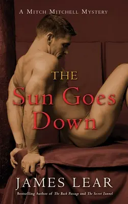Sun Goes Down: A Mitch Mitchell Mystery (Záhada Mitche Mitchella) - Sun Goes Down: A Mitch Mitchell Mystery