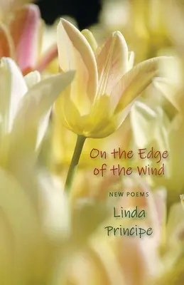 Na okraji větru - On the Edge of the Wind
